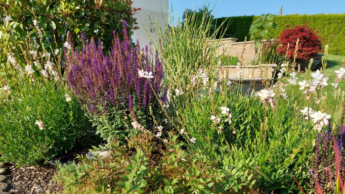 Bunte Blumenarrangement mit lila, weißen und grünen Pflanzen in einem sonnigen Garten.